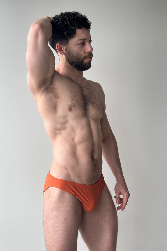 hip swim brief - sunset preorder